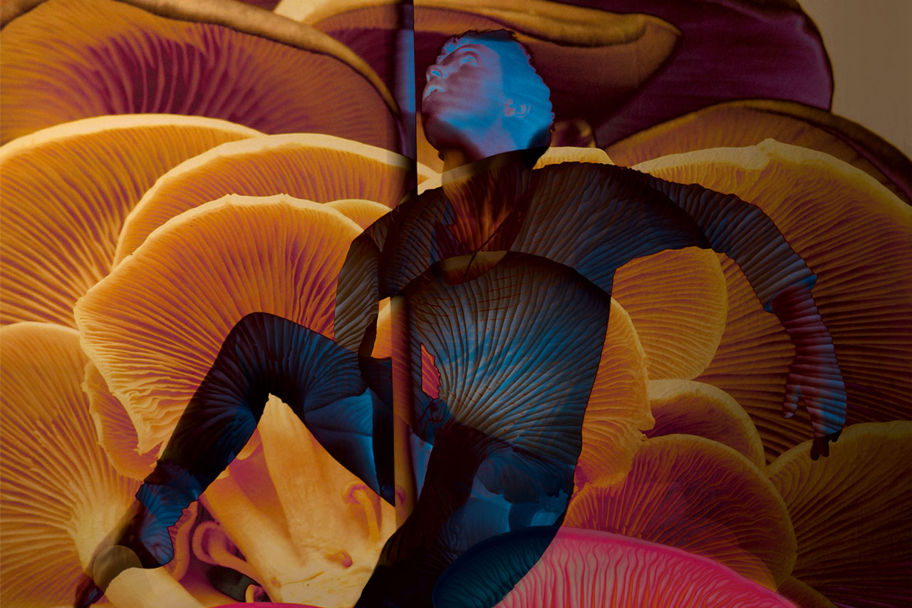 nzr_pic-Gaia_c-Erich-Saar-cropped_quer
